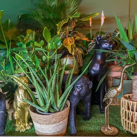 Welcome To Panama Jungle/jacuzzi Apartment *